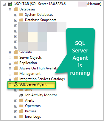 Making Sure SQL Agent is Running