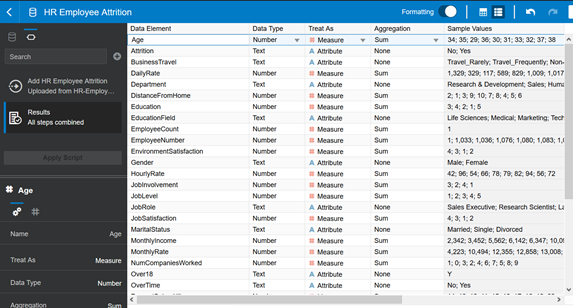 Rename that dataset to HR Employee Attrition and click Add. Then click on the Metadata icon