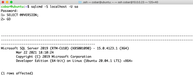 SQL Server 2019 Developer Edition CU10