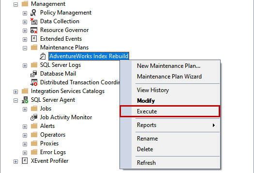 To test the job, right-click on its name in the Maintenance Plans directory, and select Execute from the menu