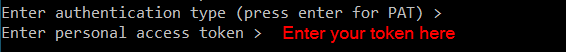 Enter your token and paste it