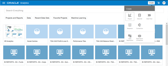 Oracle Financial Analytics Data Model